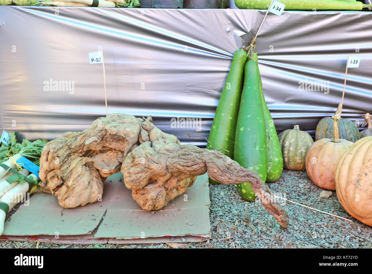 Organic cultivated fruits and vegetable of northeast India displaying during hornbill festival