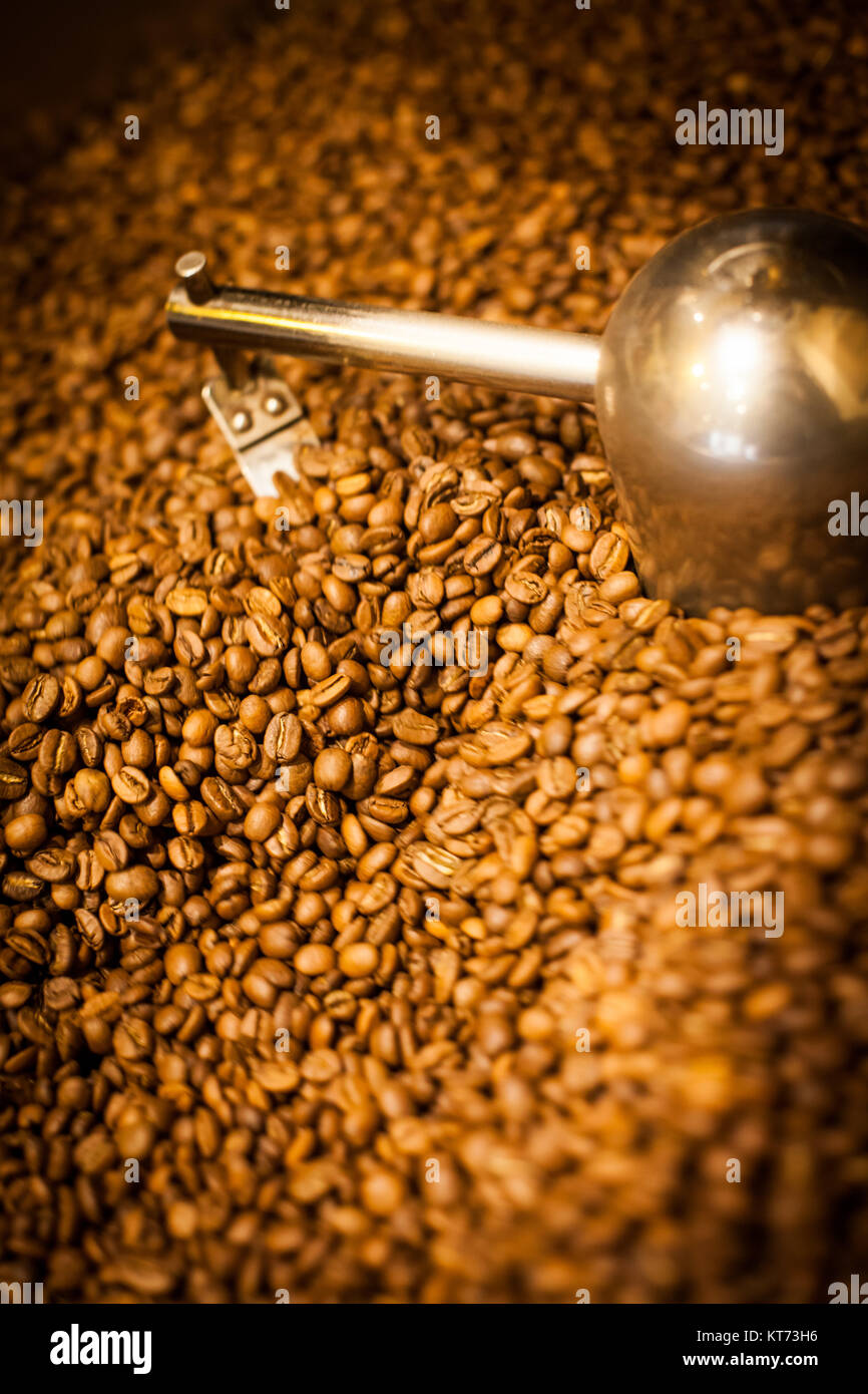 Coffee drying machine Stock Photo