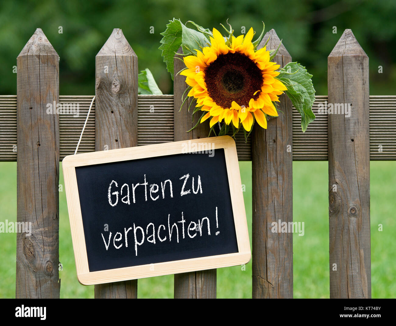 Garten zu verpachten Stock Photo Alamy