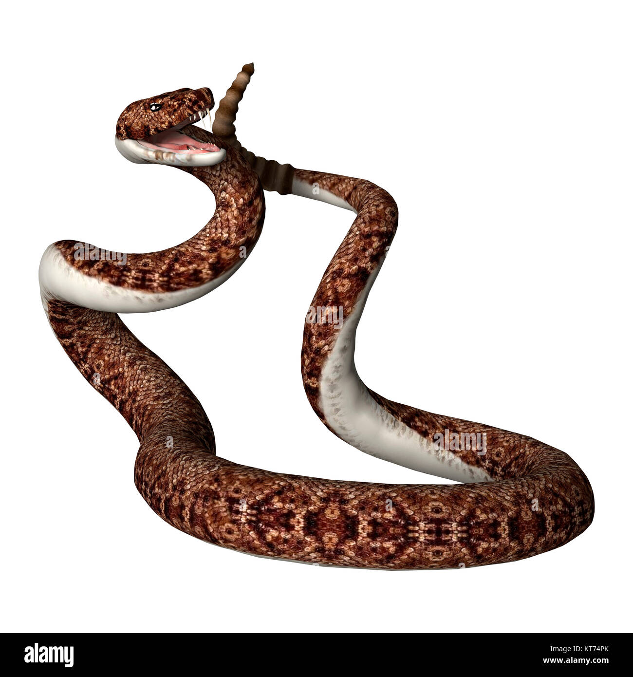 Rattle snake Cut Out Stock Images & Pictures - Alamy