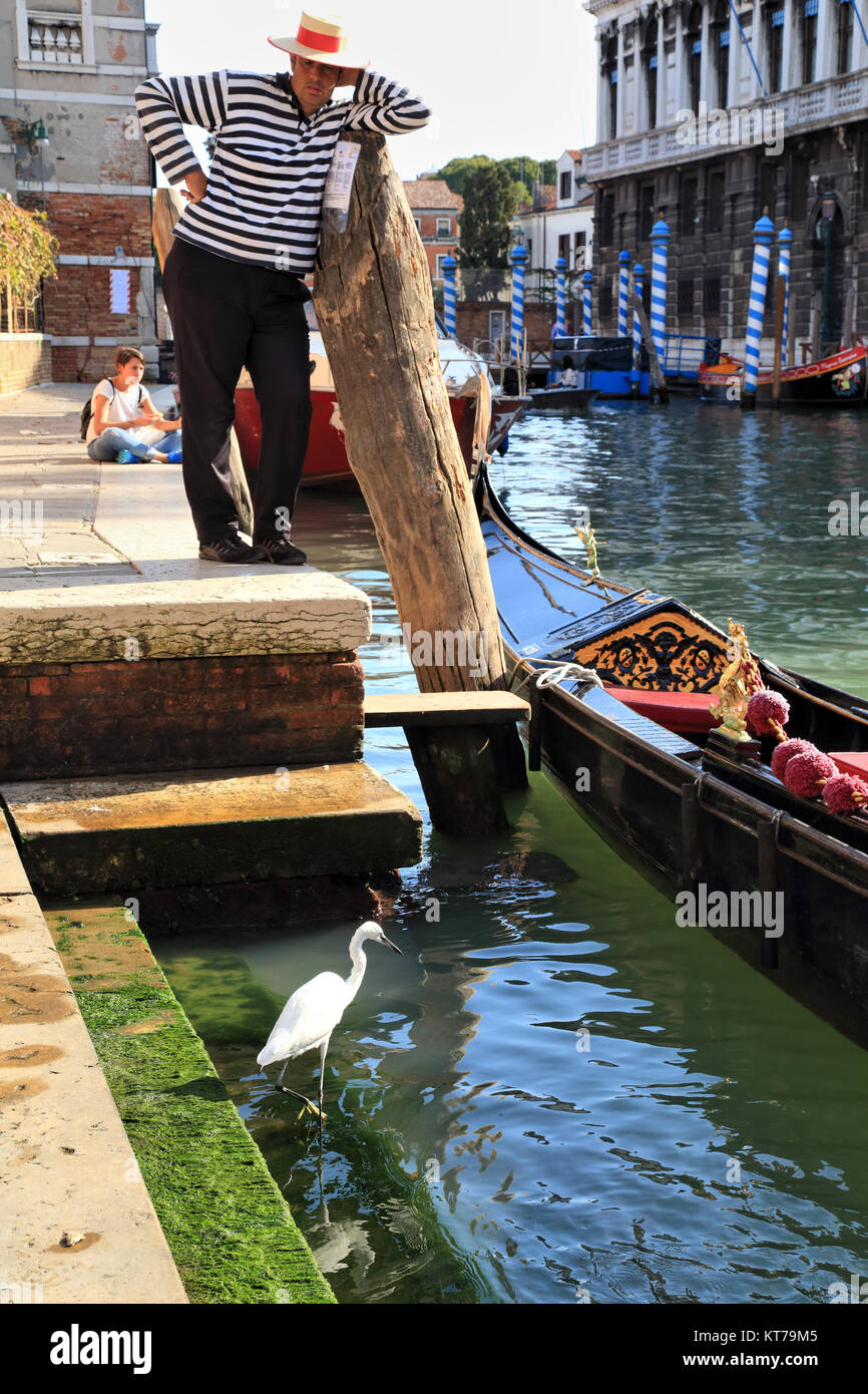 Venice gondola ride. Gondolier waiting for guests. Little egret (Egretta garzetta) urban city wildlife. Stock Photo