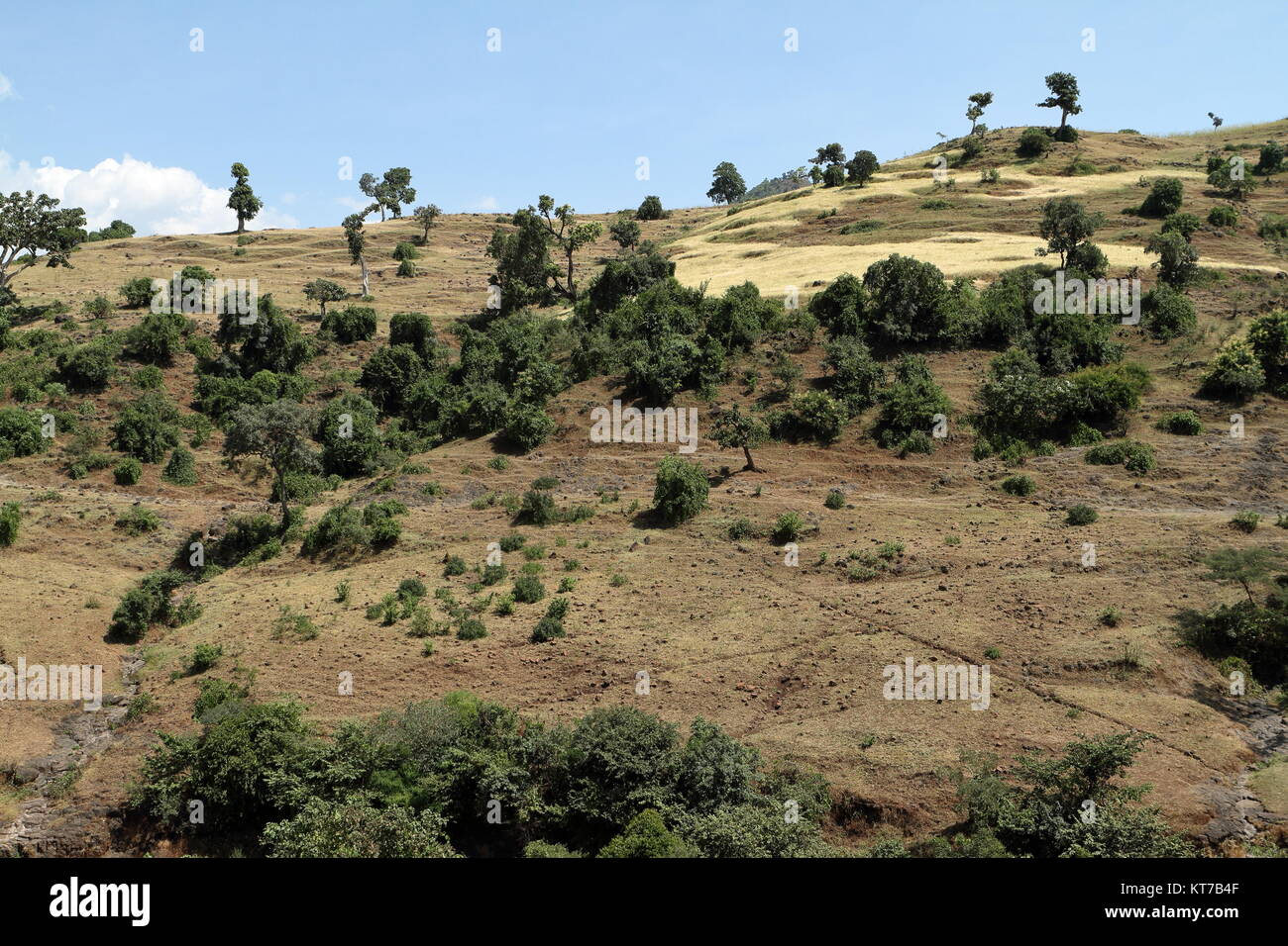 landscape in ethiopia Stock Photo