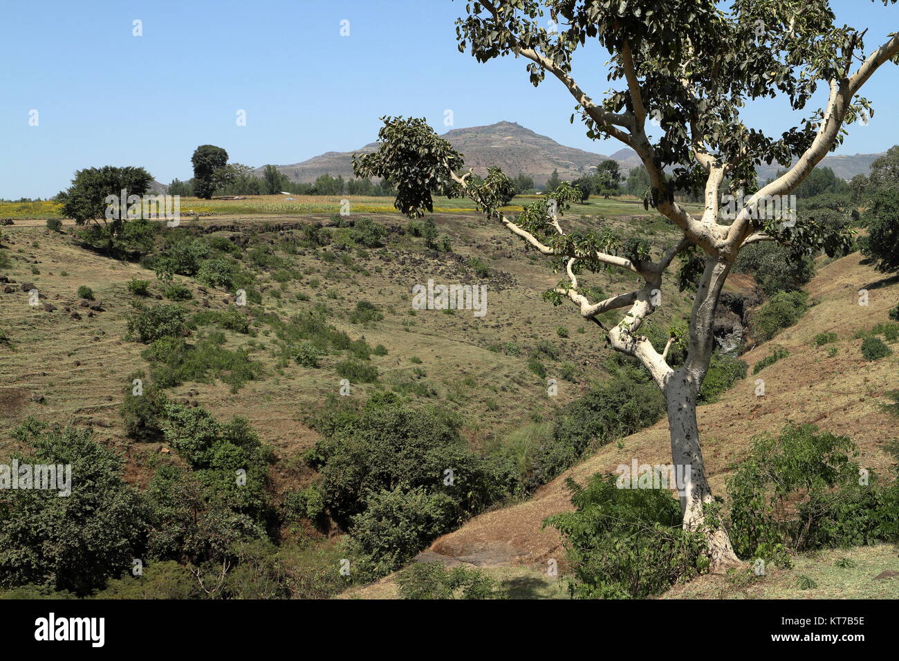 landscape in ethiopia Stock Photo