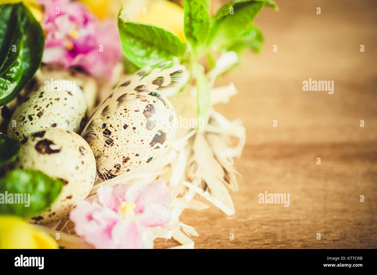 Easter Composition of eggs and spring flowers Stock Photo - Alamy