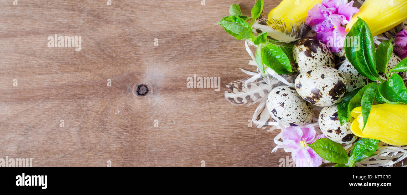 Easter Composition of eggs and spring flowers Stock Photo - Alamy