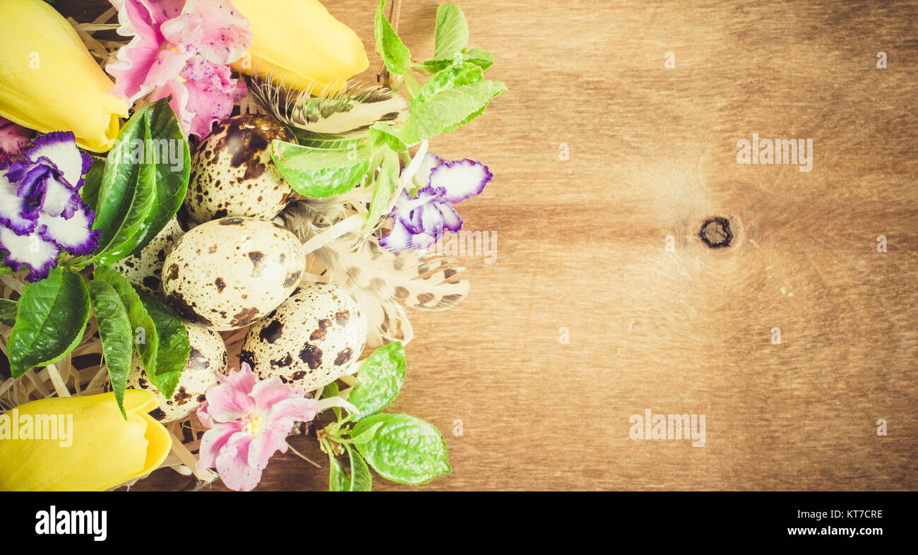 Easter Composition of eggs and spring flowers Stock Photo - Alamy