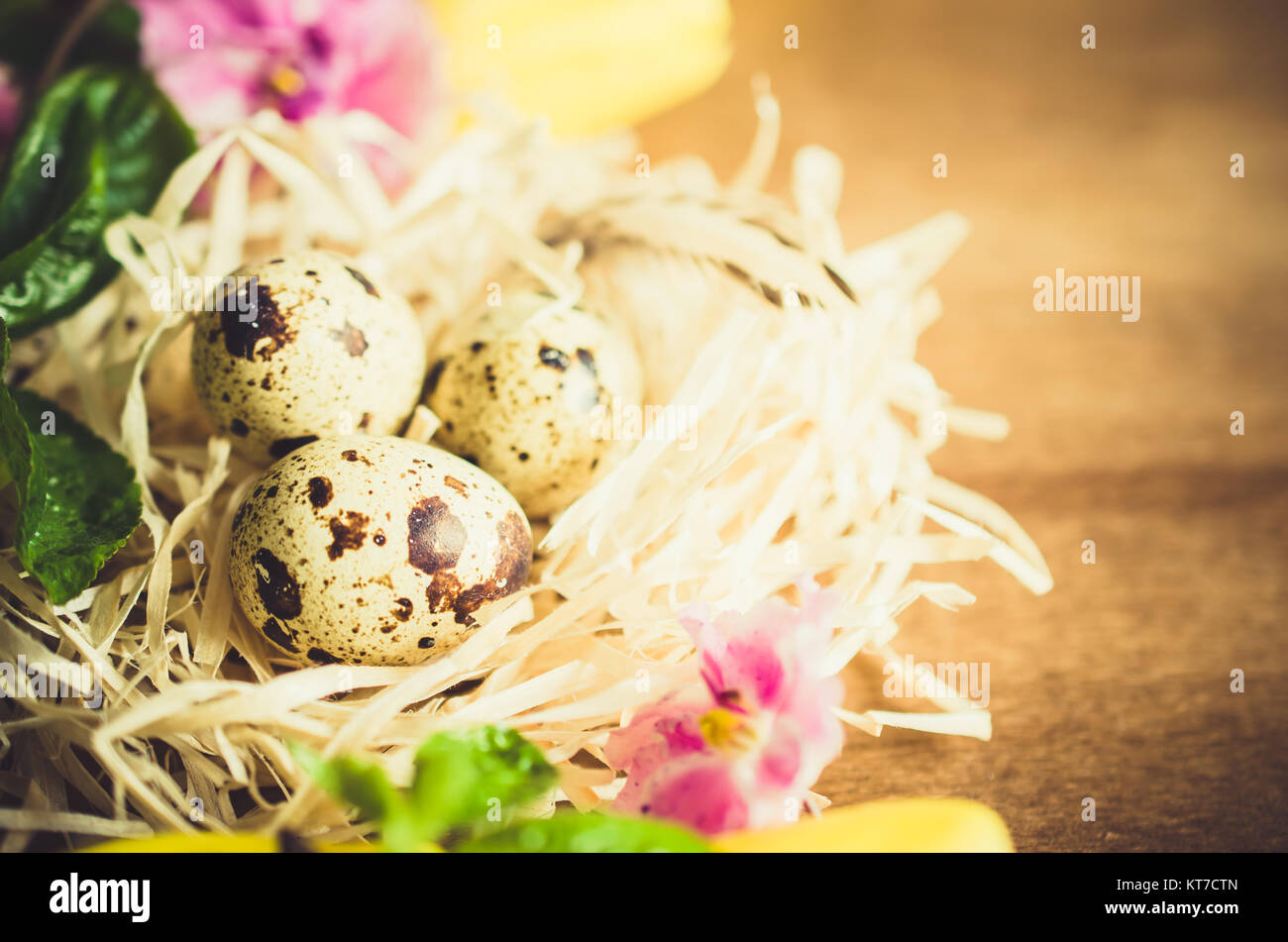 Easter Composition of eggs and spring flowers. Stock Photo