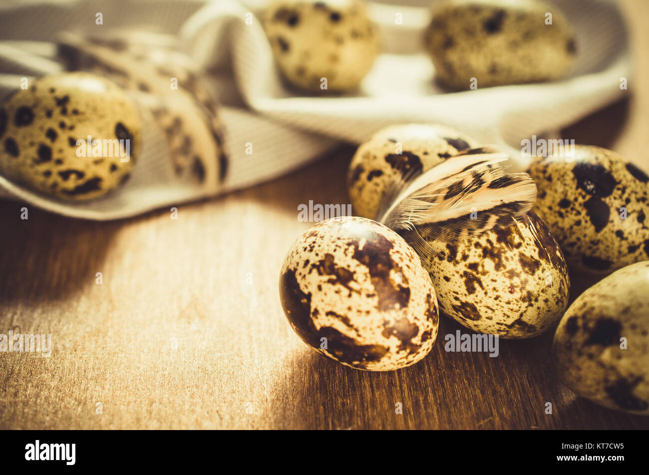 Fresh Organic Quail Eggs on Wooden Table. Stock Photo