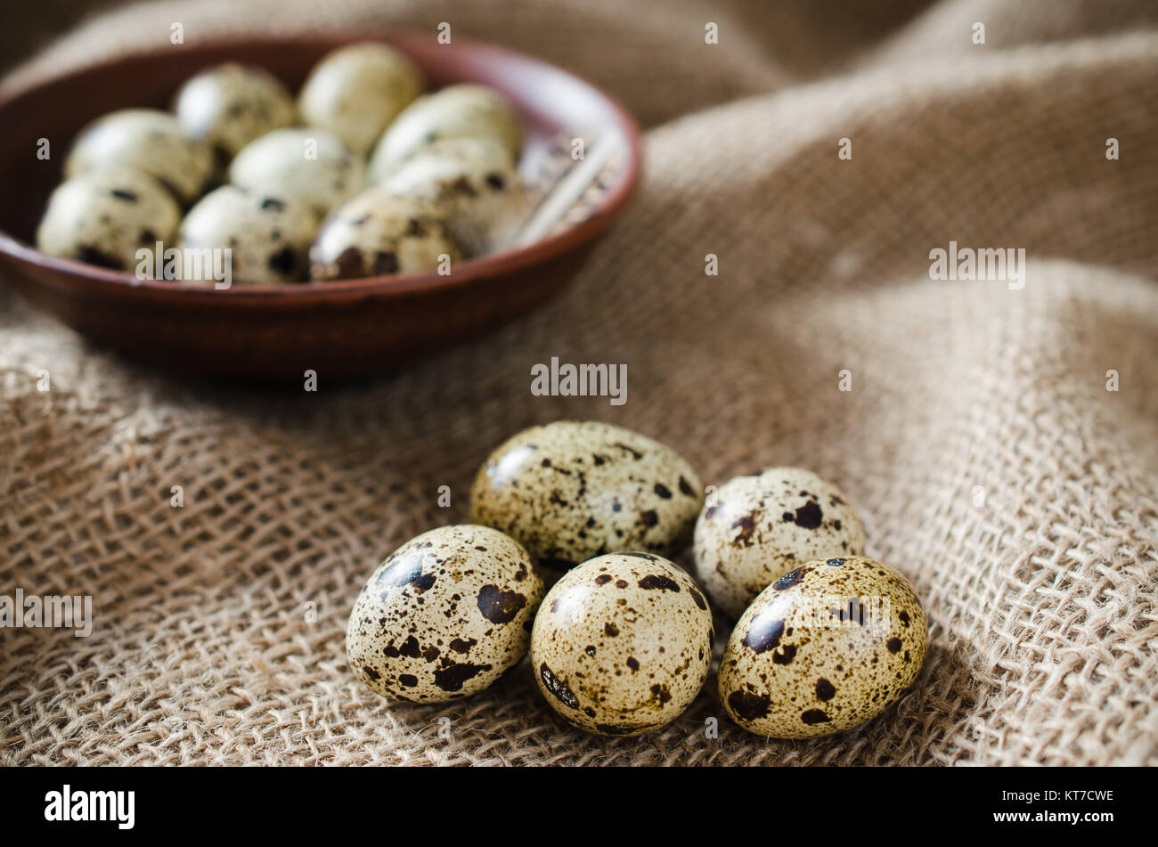 Fresh Organic Quail Eggs in a Ceramic Bowl. Stock Photo