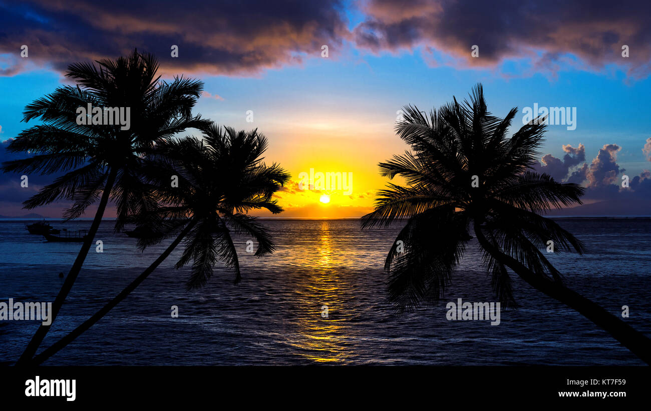 Tropical beach on sunset with silhouette palm trees Stock Photo - Alamy