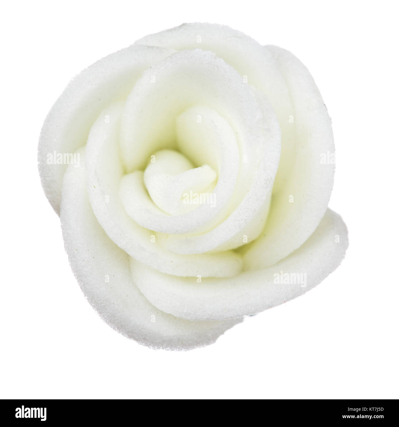 white flower head isolated, beautiful decoration,top view Stock Photo Alamy
