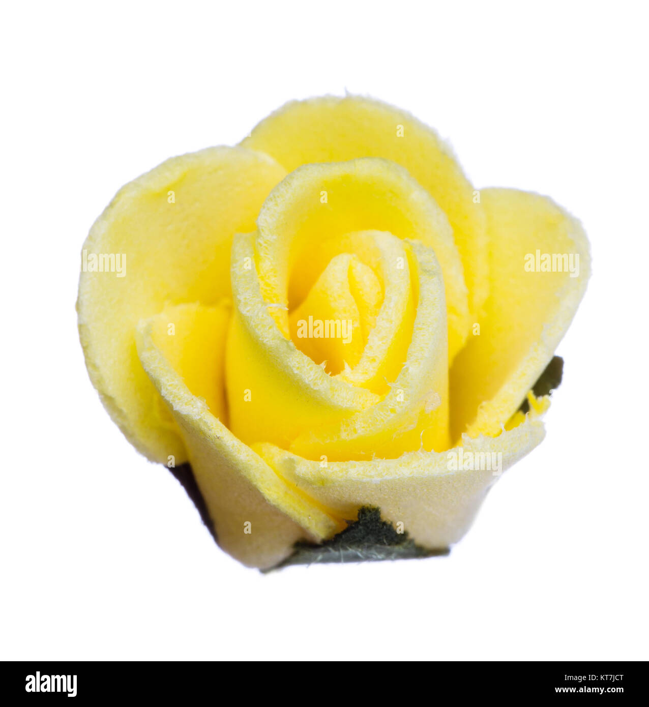 flower head isolated, beautiful decoration, spring and summer concept ...