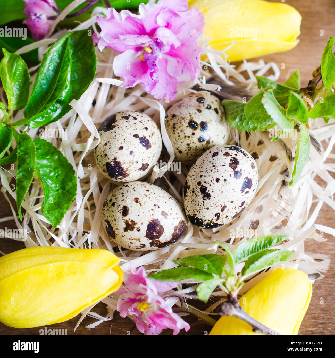 Easter Composition of eggs and spring flowers Stock Photo - Alamy