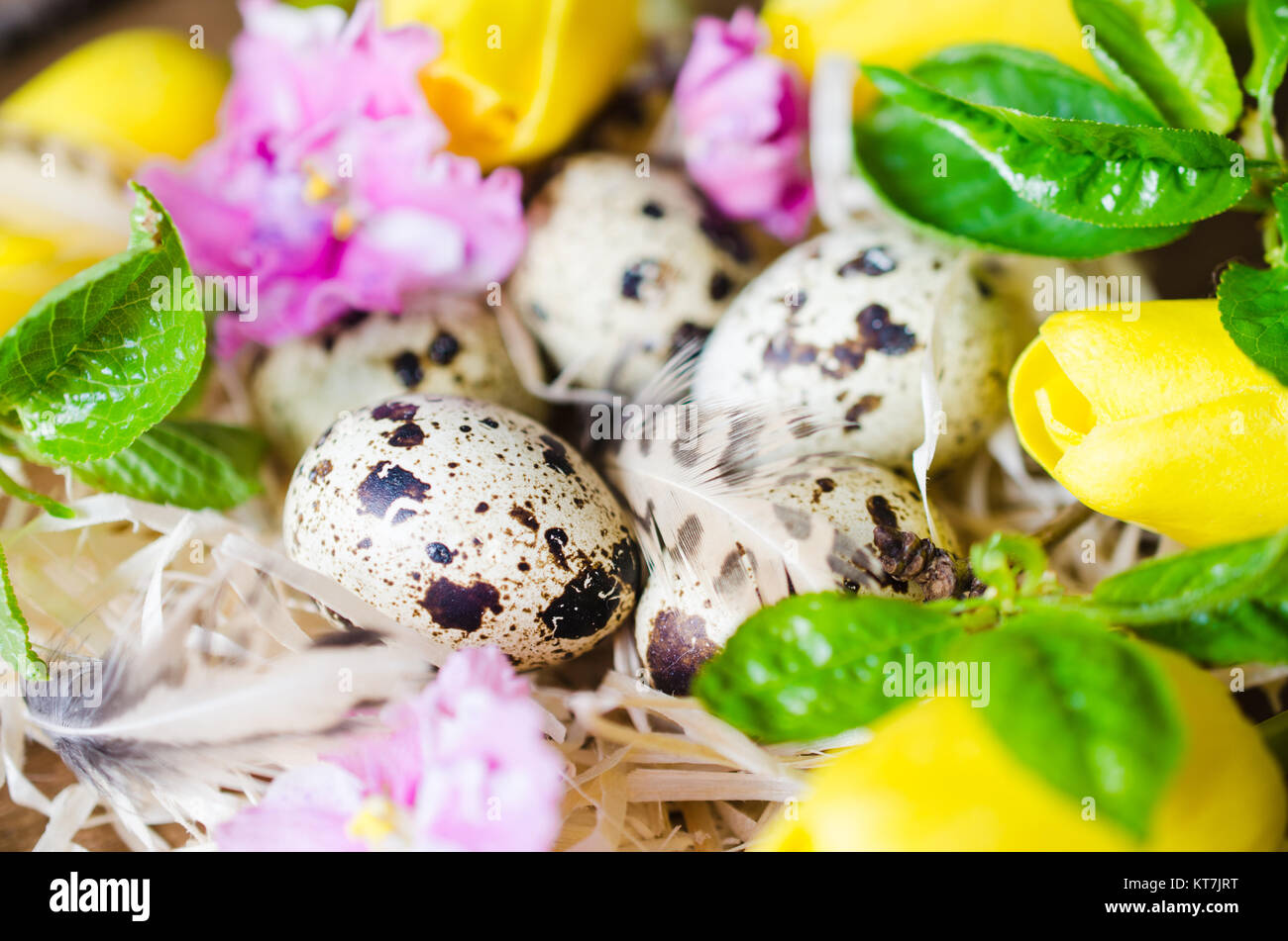 Easter Composition of eggs and spring flowers Stock Photo - Alamy