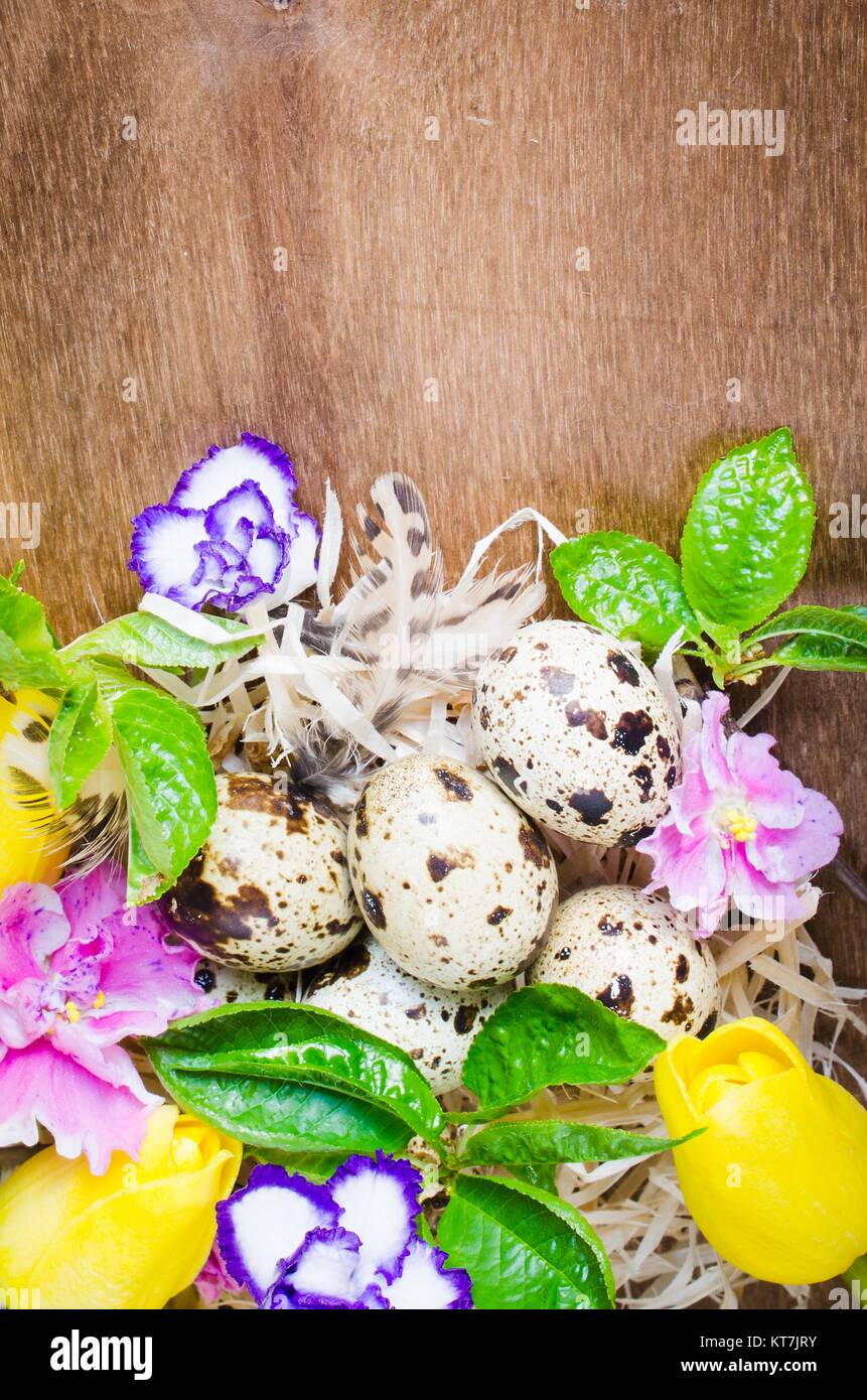 Easter Composition of eggs and spring flowers Stock Photo - Alamy