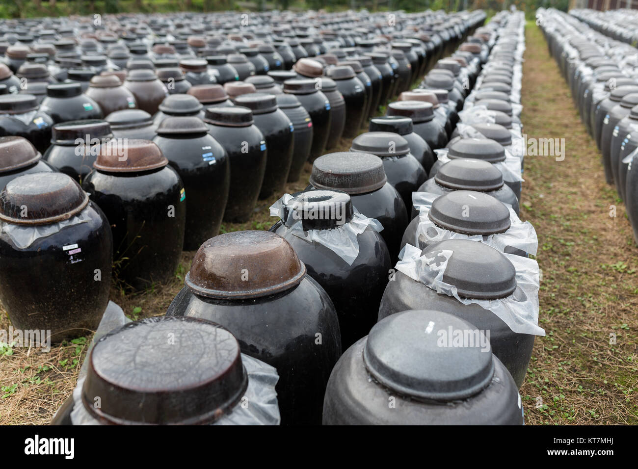 Vinegar in Barrel store at outdoor Stock Photo Alamy