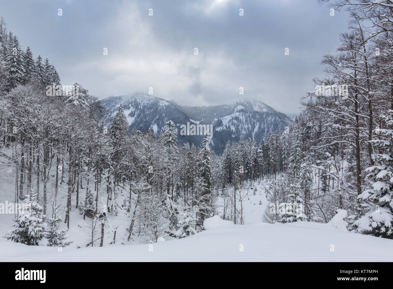Winter Landscape, Mountains, Nationalpark Gesäuse, Austria Stock Photo