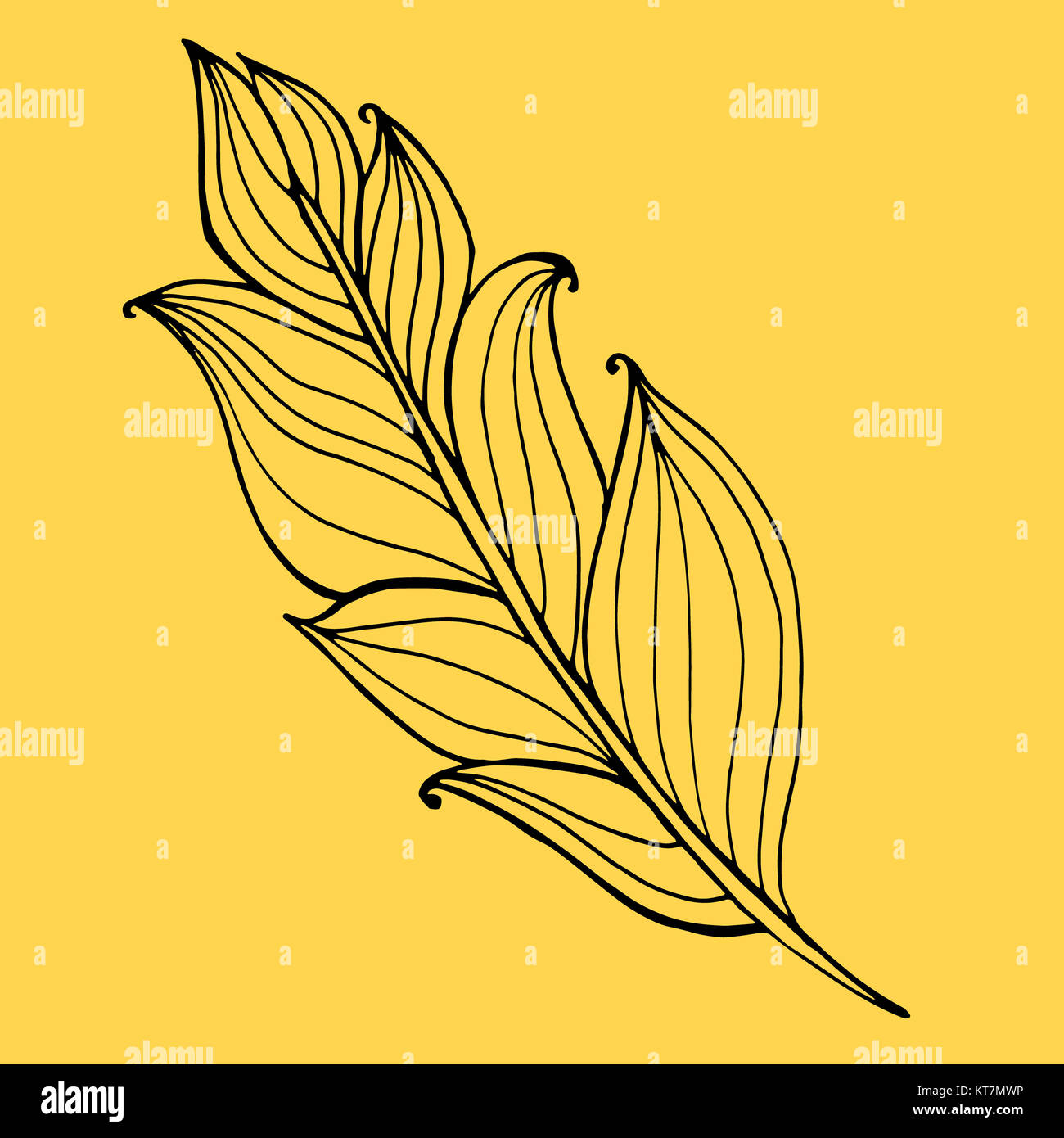 Hand drawn doodle zentangle feather isolated from background. Black ...