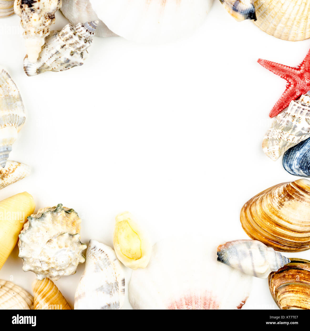 abstract background made of shells white background Stock Photo - Alamy