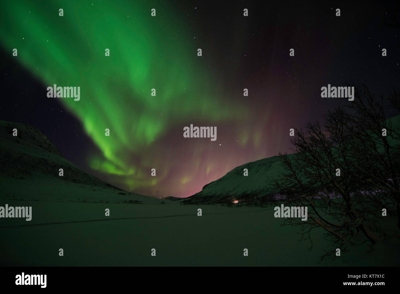 Polarlichter, aufgenommen in der Nähe von Tromsö, Norwegen, im Februar. Stock Photo