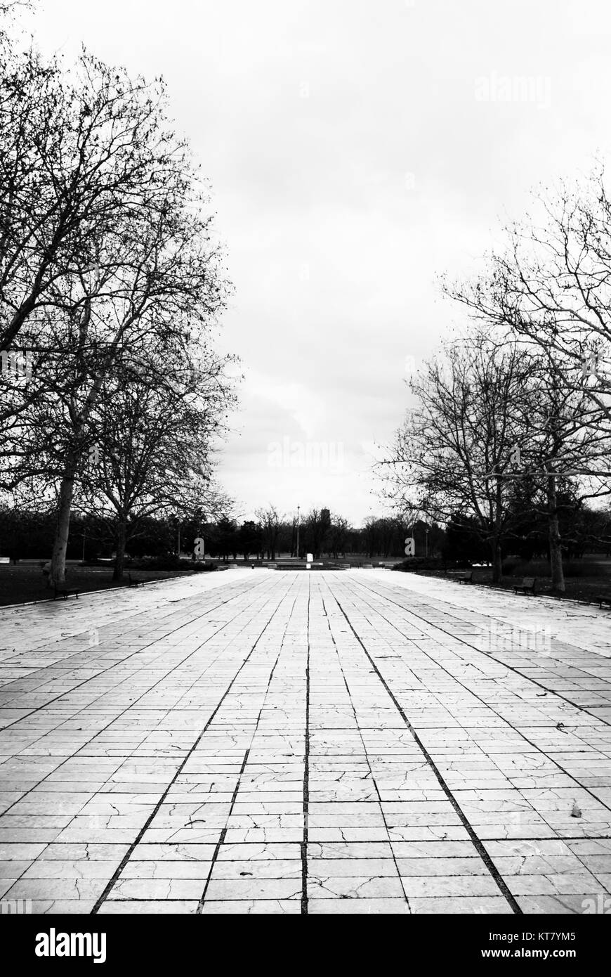 Landscaped walkway Black and White Stock Photos & Images - Alamy