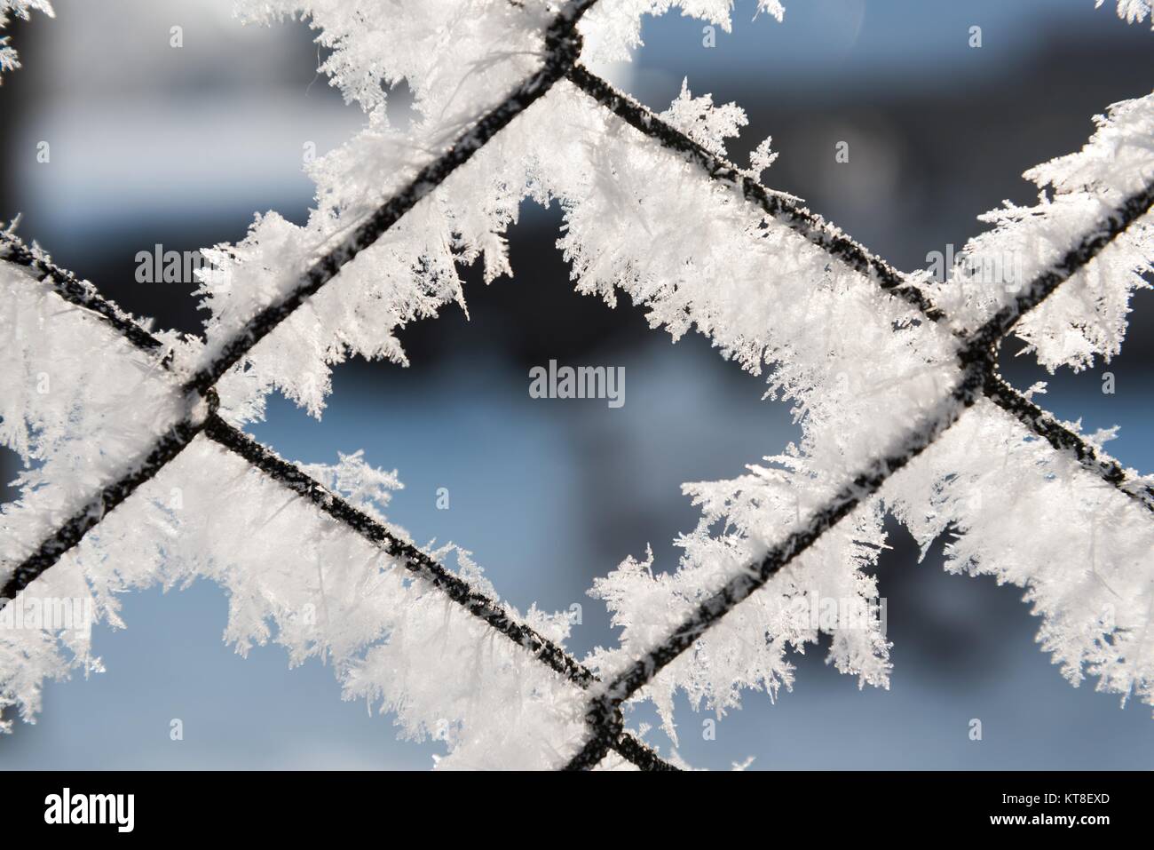 Rusty wire mesh fence covered with frost and hoarfrost with blurred background in the winter Stock Photo