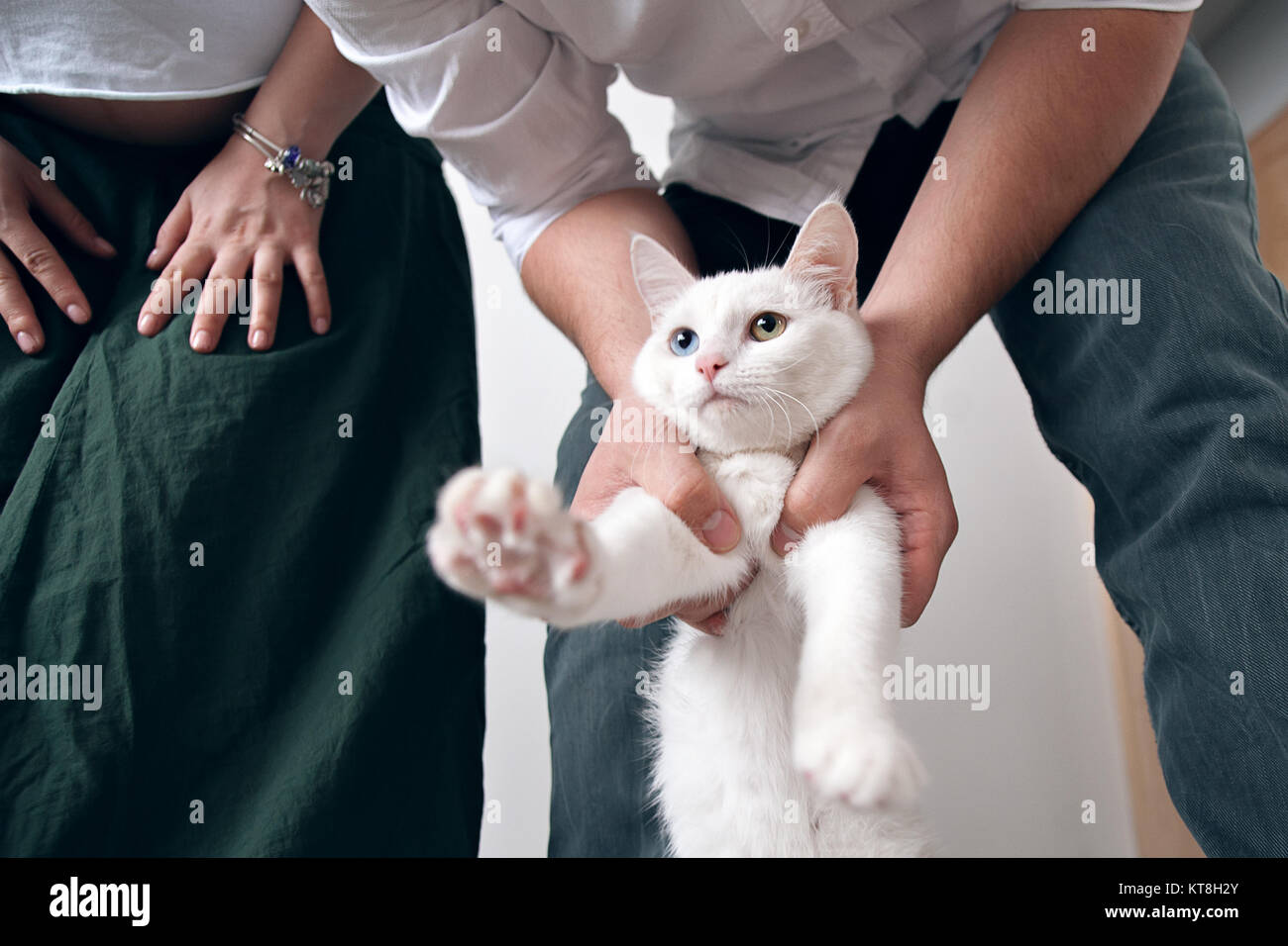 White Cat With One Blue Eye And One Green Eye He Was Sent To A New Apartment Housewarming Stock Photo Alamy White Cat With One Blue Eye And One Green Eye He Was Sent To A New Apartment Housewarming Stock Photo Alamy