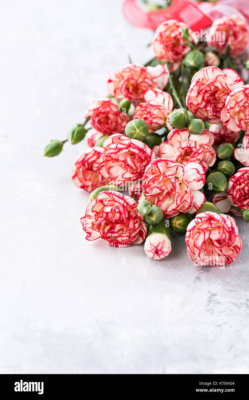 Beautiful pink carnation flowers background for valentine or mother day ...