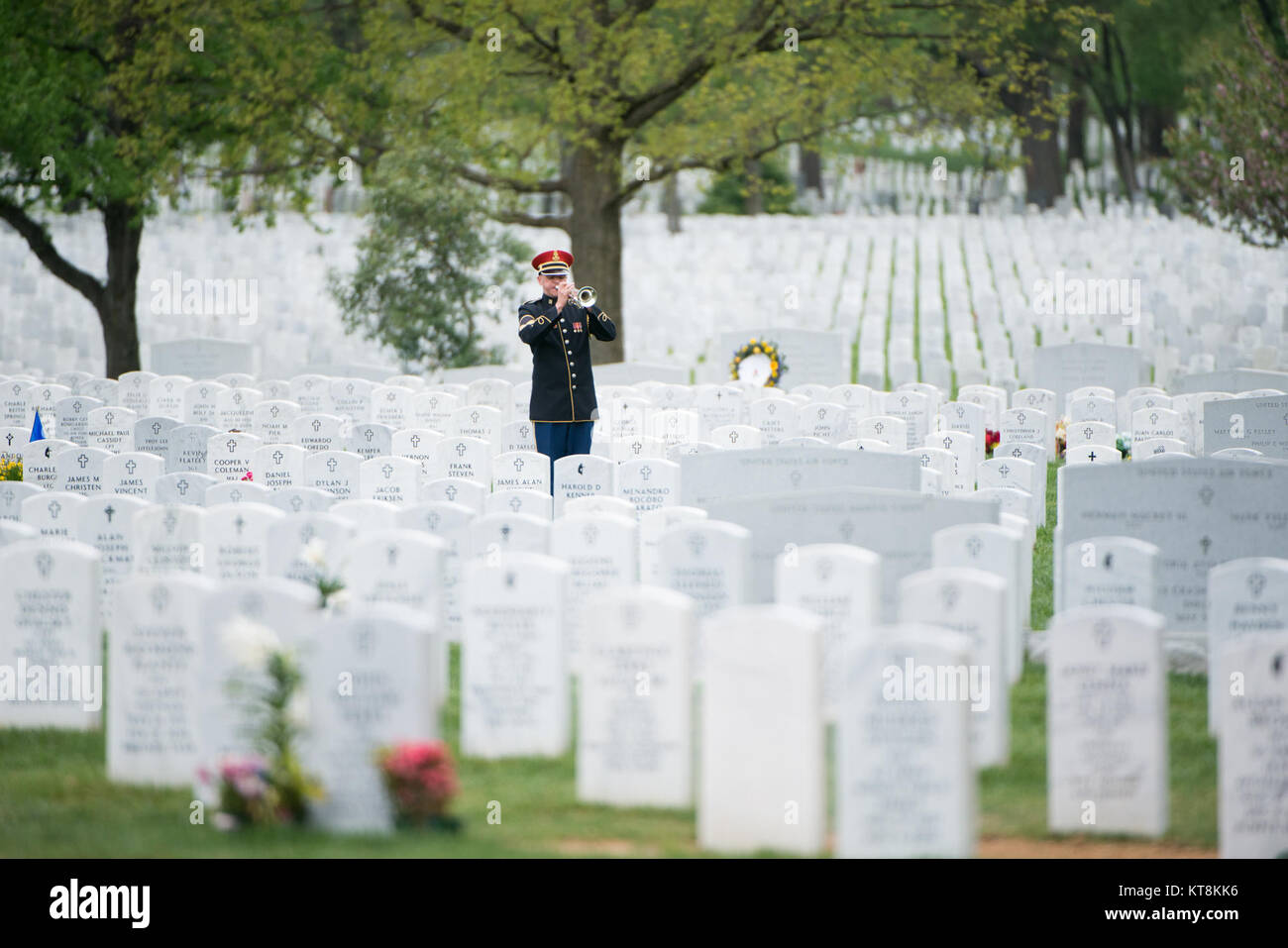A member of the U.S. Army Band “Pershing’s Own,” plays Taps during the graveside service for her cousin U.S. Army Air Forces 2nd Lt. Marvin B. Rothman, 21, of Cleveland Heights, Ohio, at Arlington National Cemetery, April 19, 2017, in Arlington, Va. Rothman went missing during a bombing escort mission, April 11, 1944, flying a P-47D Thunderbolt over New Guinea. His remains were recently found and identified. (U.S. Army photo by Rachel Larue/Arlington National Cemetery/released) Stock Photo