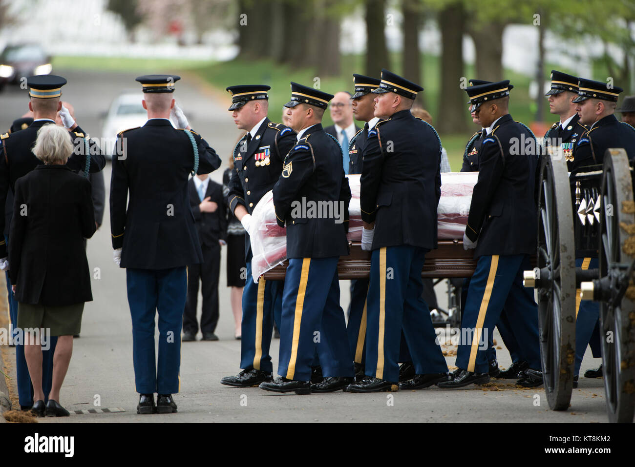 Members of the 3d U.S. Infantry Regiment (The Old Guard) participate in the graveside service for U.S. Army Air Forces 2nd Lt. Marvin B. Rothman, 21, of Cleveland Heights, Ohio, at Arlington National Cemetery, April 19, 2017, in Arlington, Va. Rothman went missing during a bombing escort mission, April 11, 1944, flying a P-47D Thunderbolt over New Guinea. His remains were recently found and identified. (U.S. Army photo by Rachel Larue/Arlington National Cemetery/released) Stock Photo
