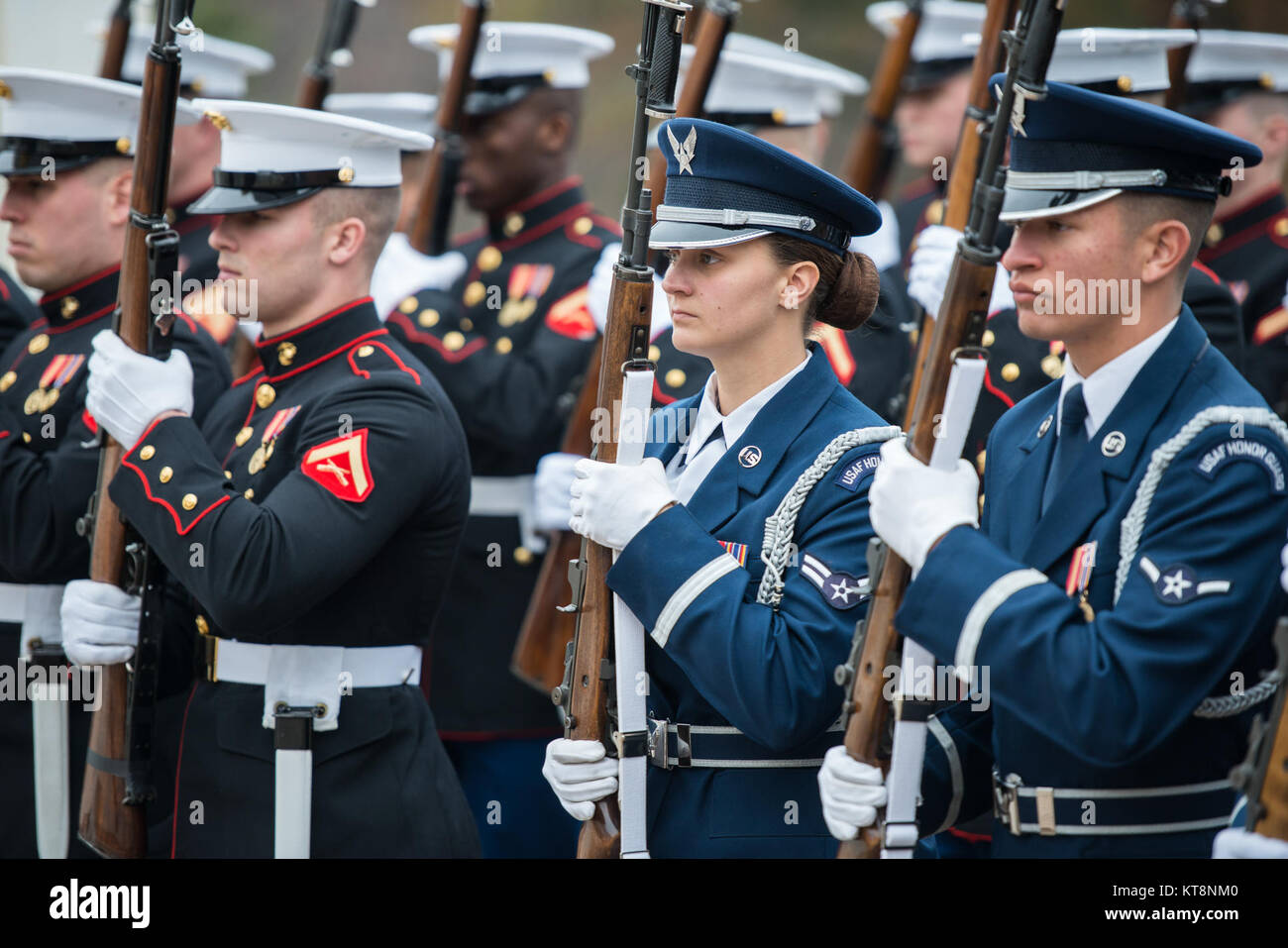 Honor Guards from all service branches participate in an Armed Forces ...