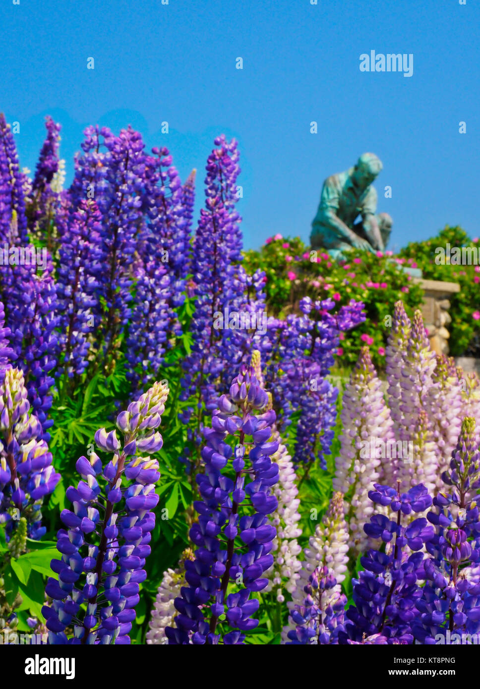 Lands End, Bailey Island, Maine, USA Stock Photo Alamy