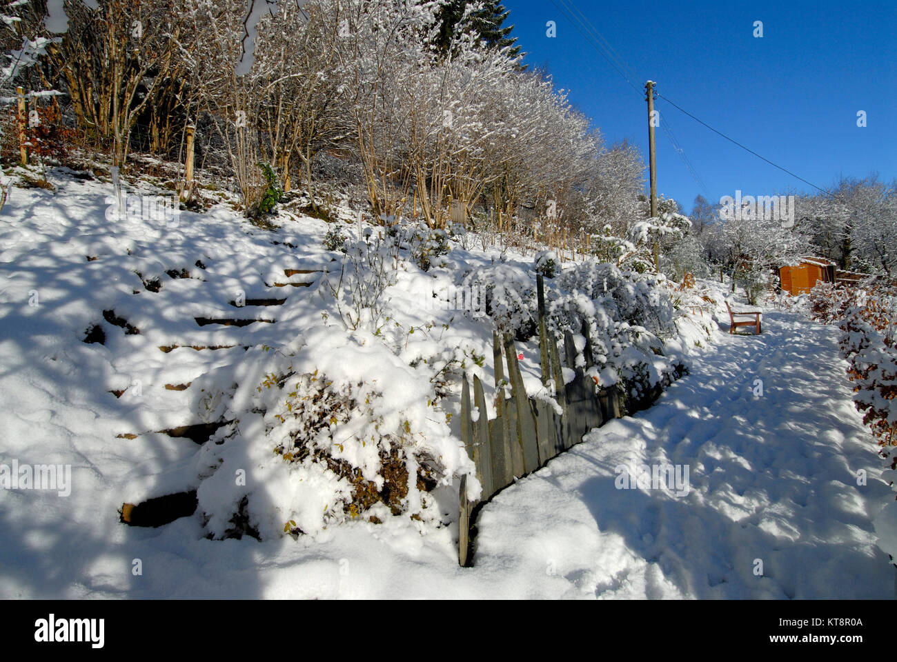 garden in snow Stock Photo - Alamy