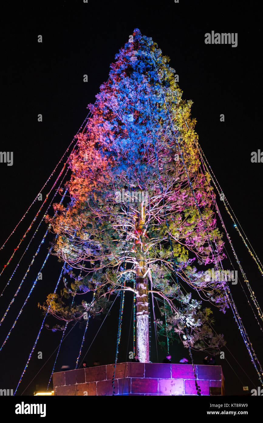the worlds tallest christmas tree from a project by seijun nishihata - Worlds Tallest Christmas Tree the worlds tallest christmas tree from a project by seijun nishihata - Worlds Tallest Christmas Tree