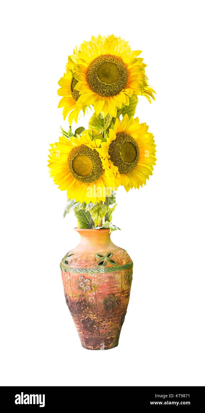 Sunflower in vase isolated Stock Photo - Alamy
