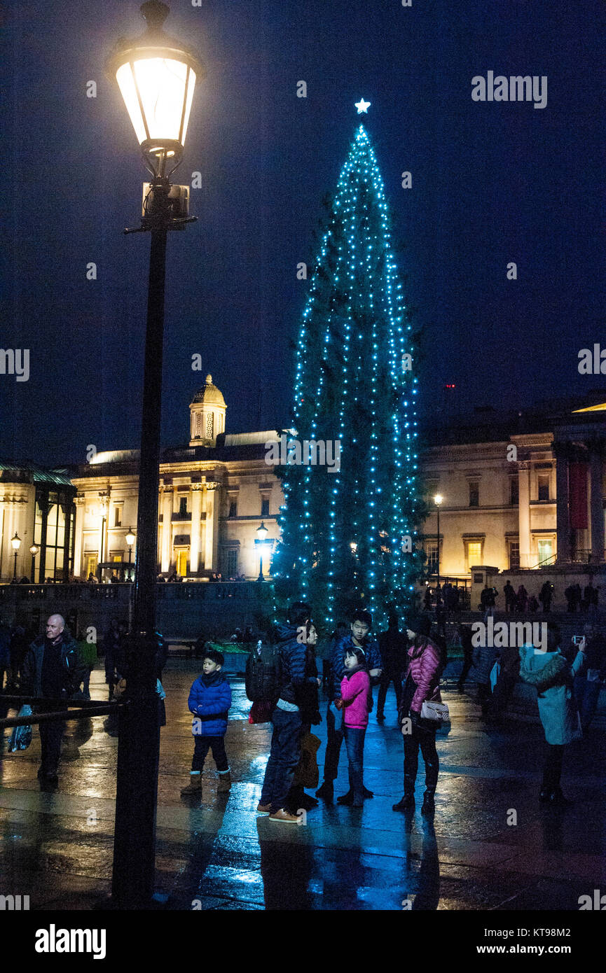London, UK, 21/12/2017 Trafalgar Square Christmas tree 2017. The tree