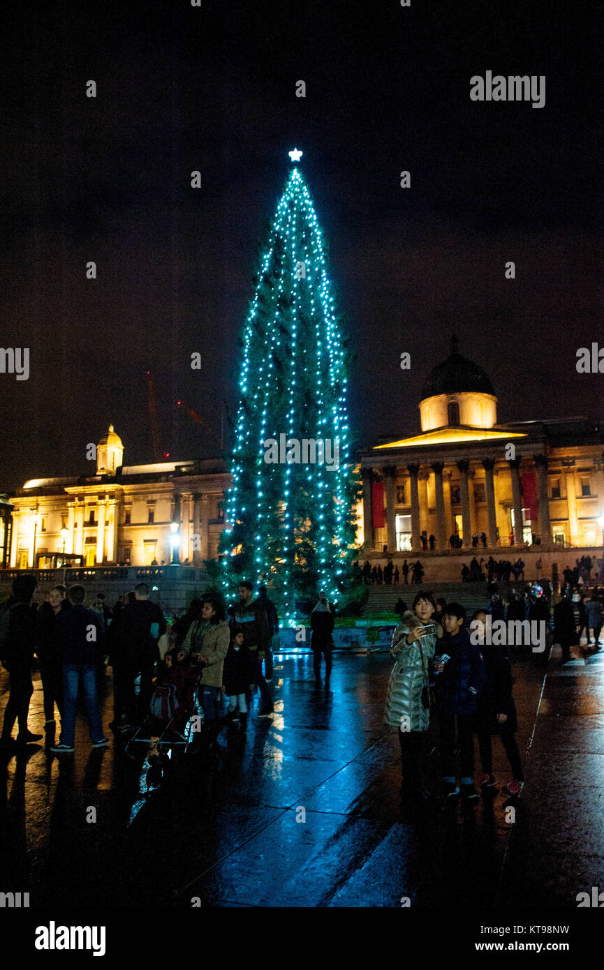 London, UK, 21/12/2017 Trafalgar Square Christmas tree 2017. The tree