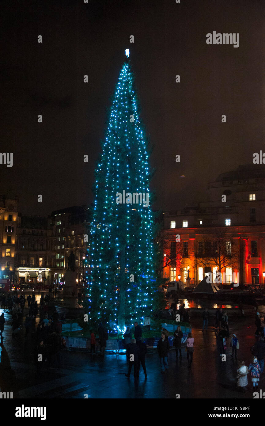 London, UK, 21/12/2017 Trafalgar Square Christmas tree 2017. The tree