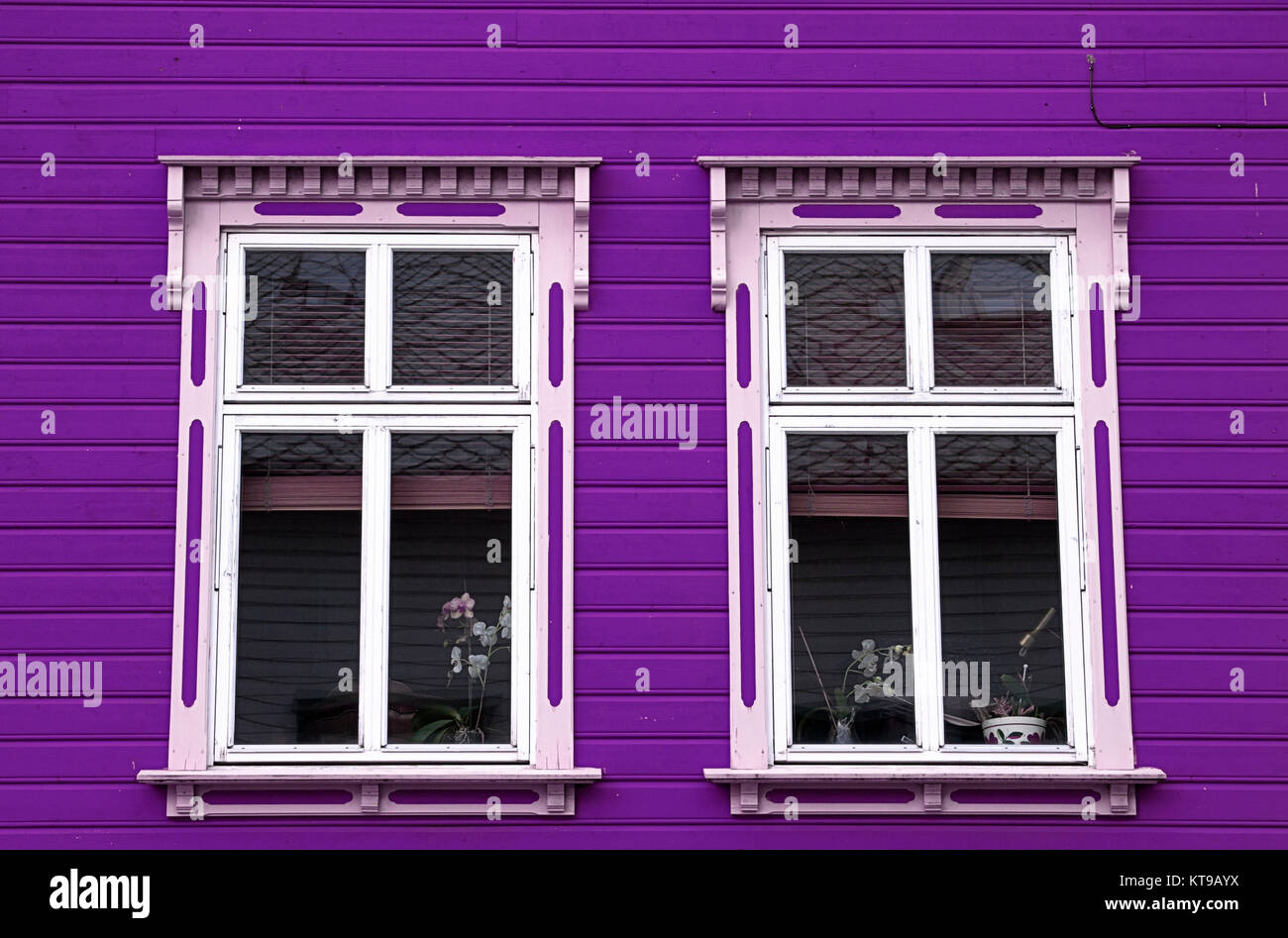 purple house two white windows Stock Photo Alamy