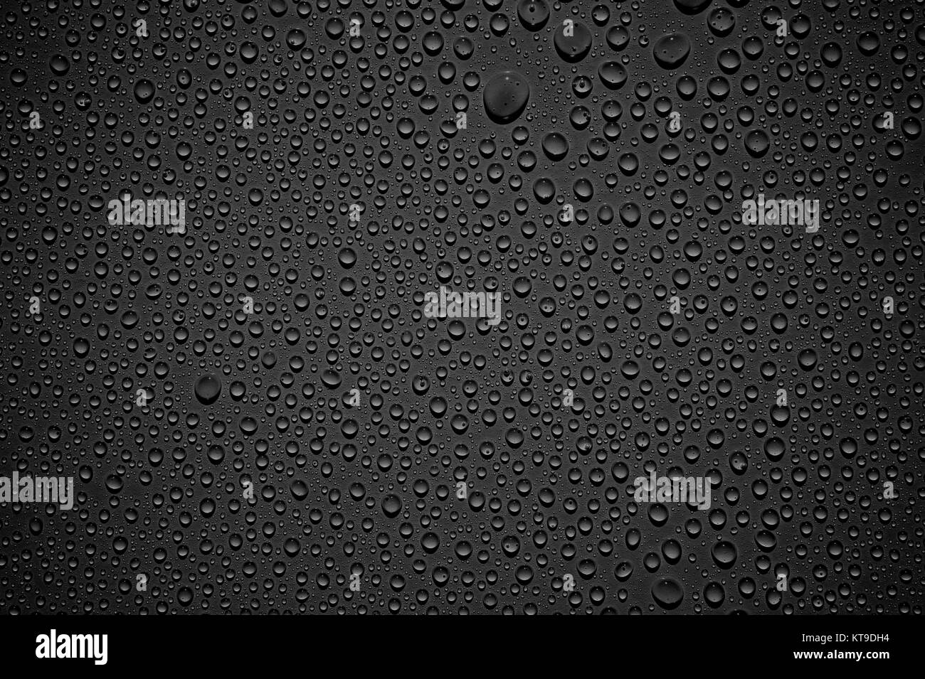 Schwarzer dunkler Hintergrund mit glänzenden frischen Wassertropfen Stock Photo