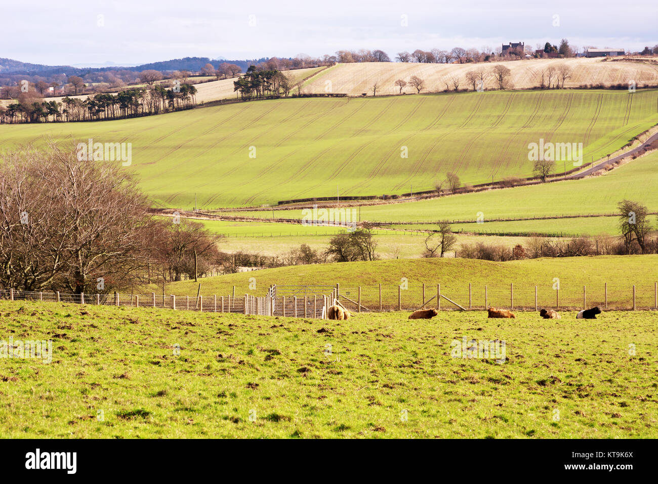 Farmland in West Lothian, Scotland, in spring Stock Photo