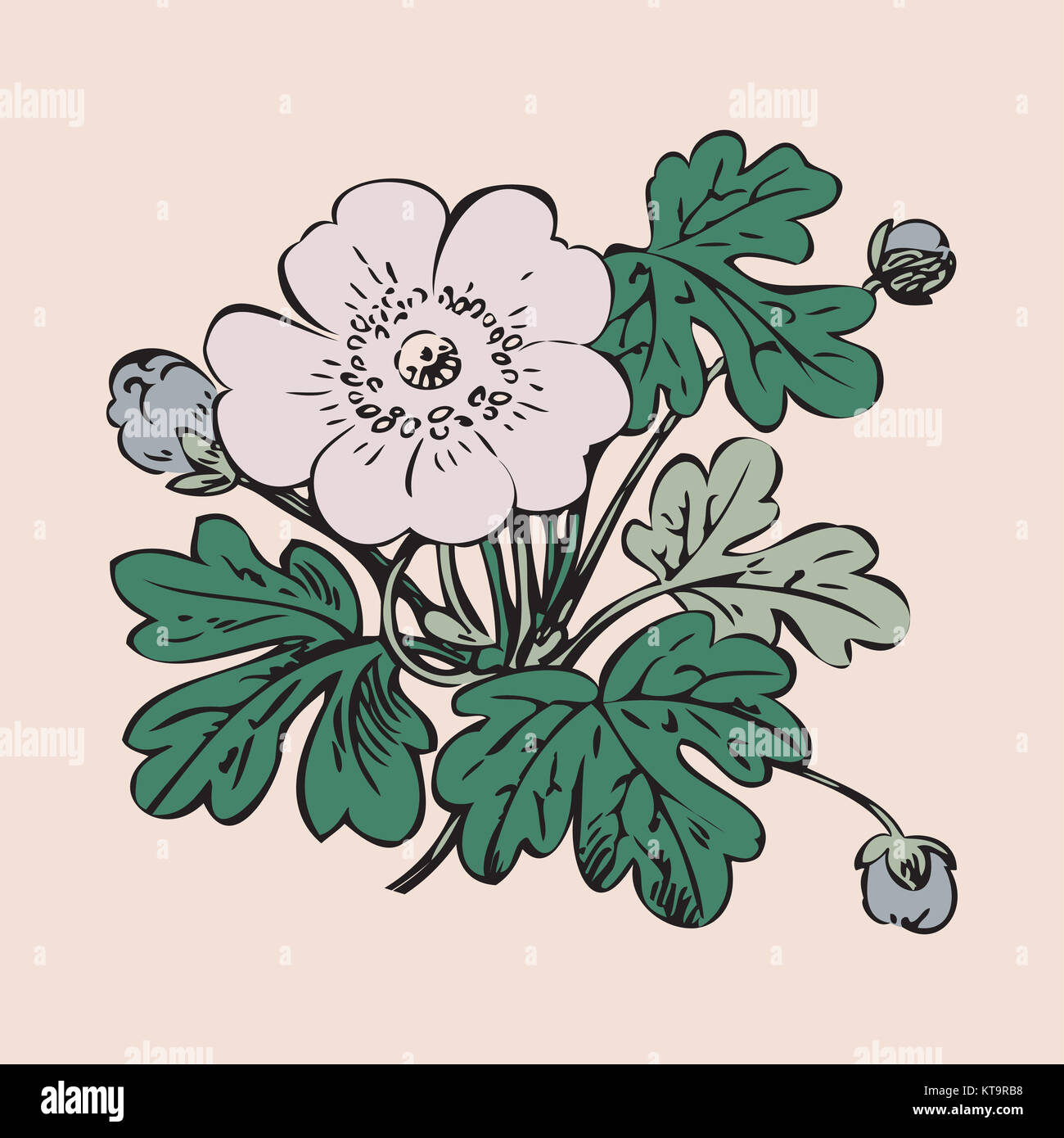 Vector round frame isolated with summer flowers in vintage style Stock ...