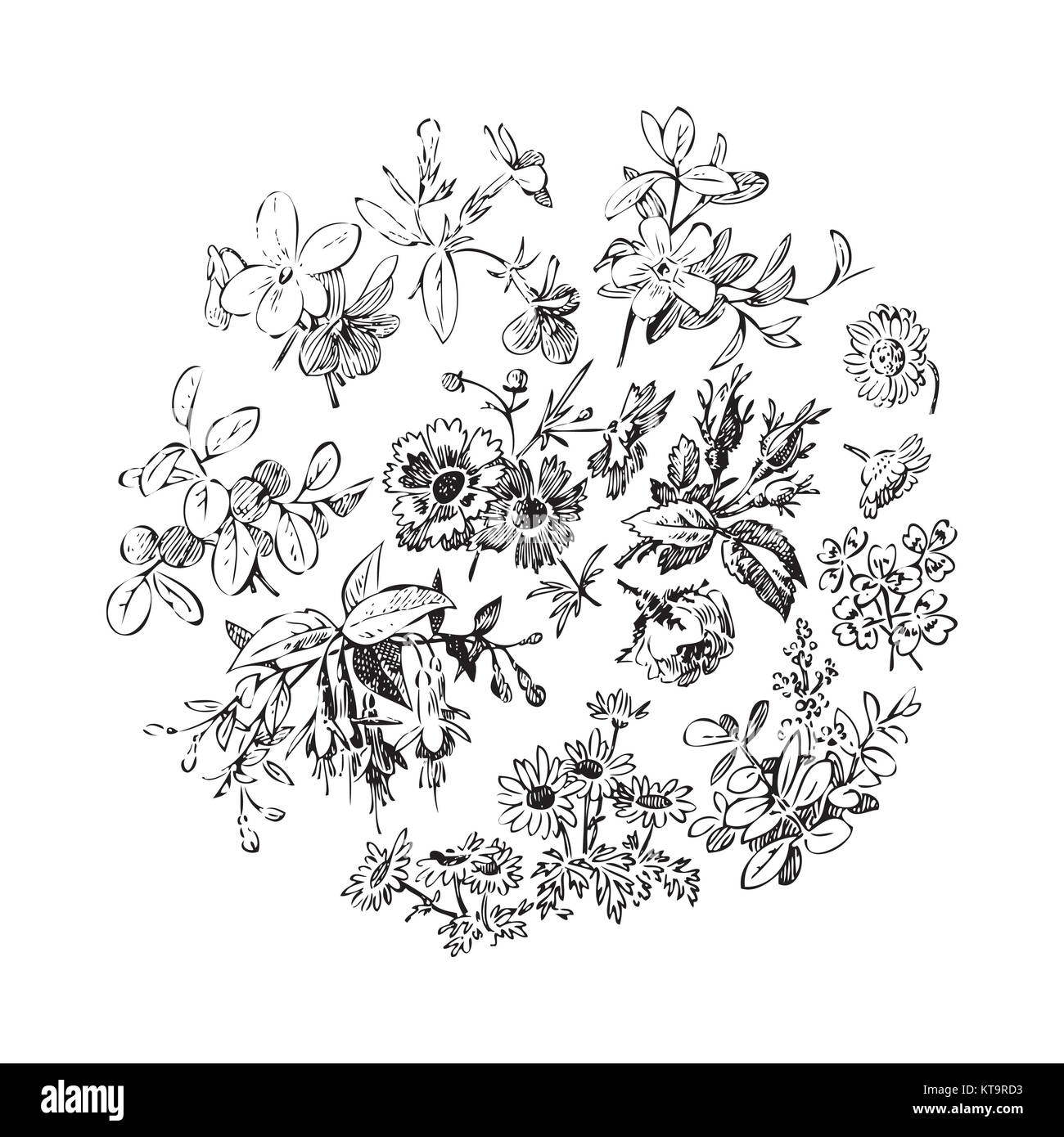 Vector round frame isolated with summer flowers in vintage style Stock ...
