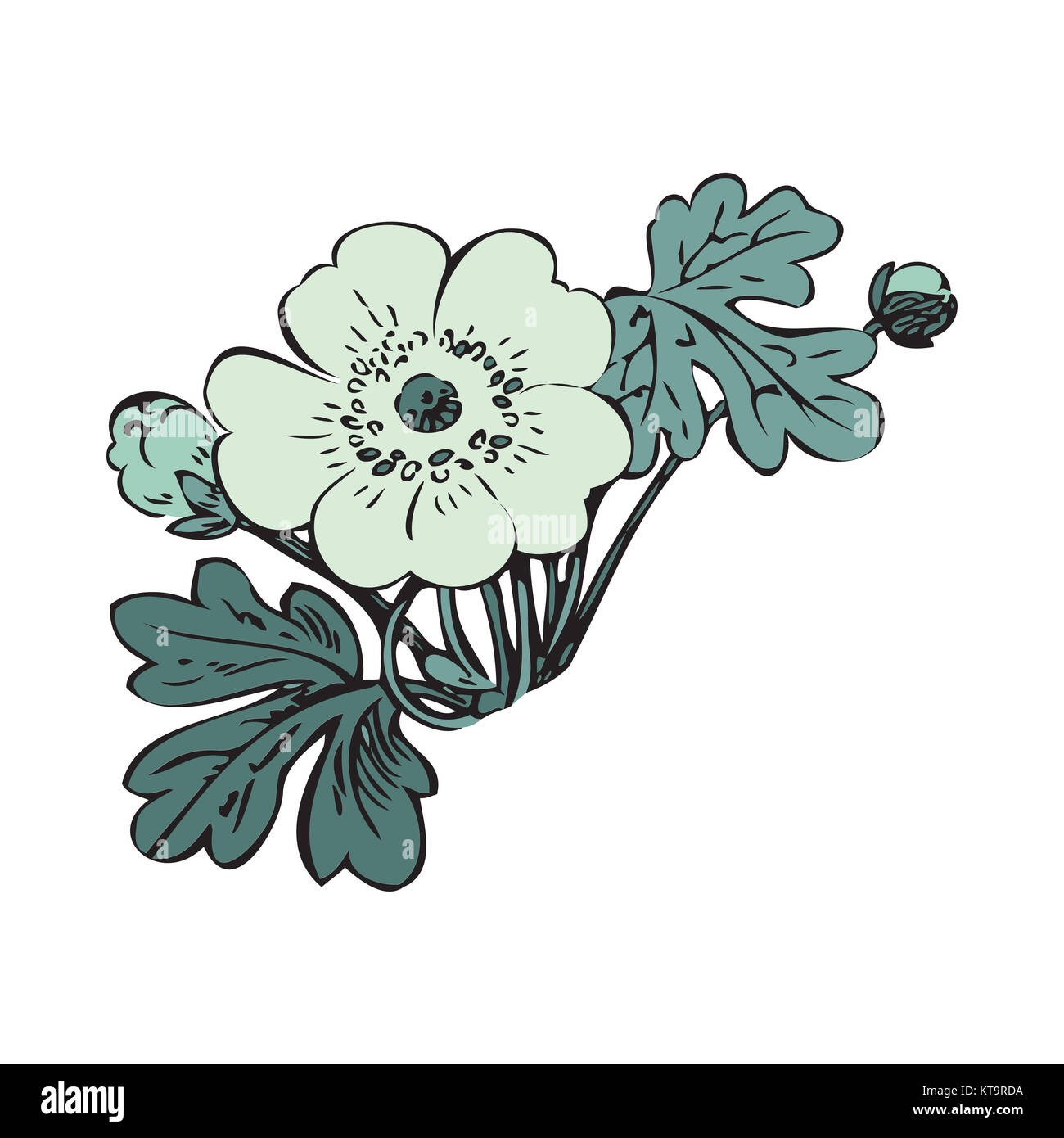 Vector round frame isolated with summer flowers in vintage style Stock ...