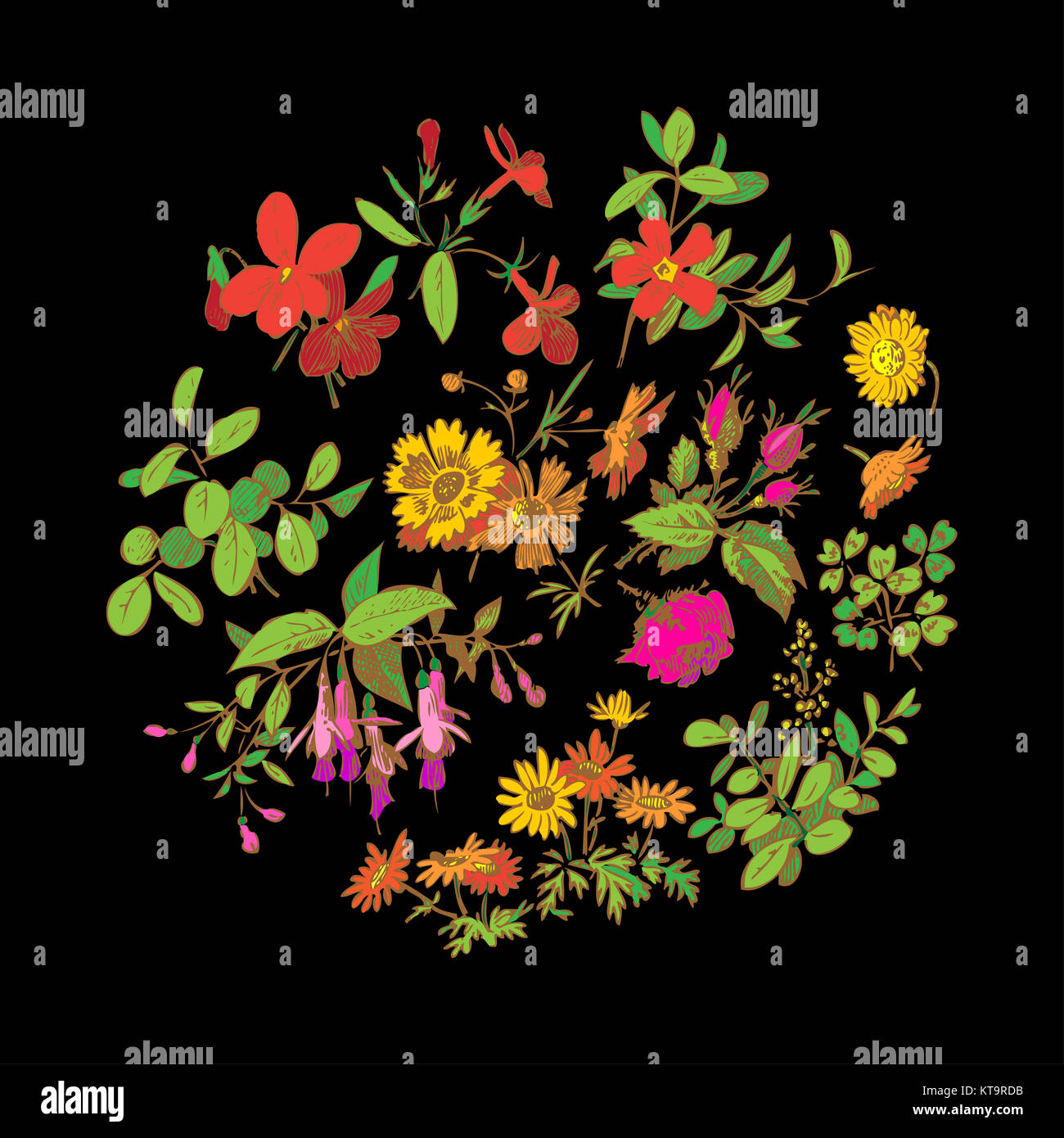 Vector round frame isolated with summer flowers in vintage style Stock ...
