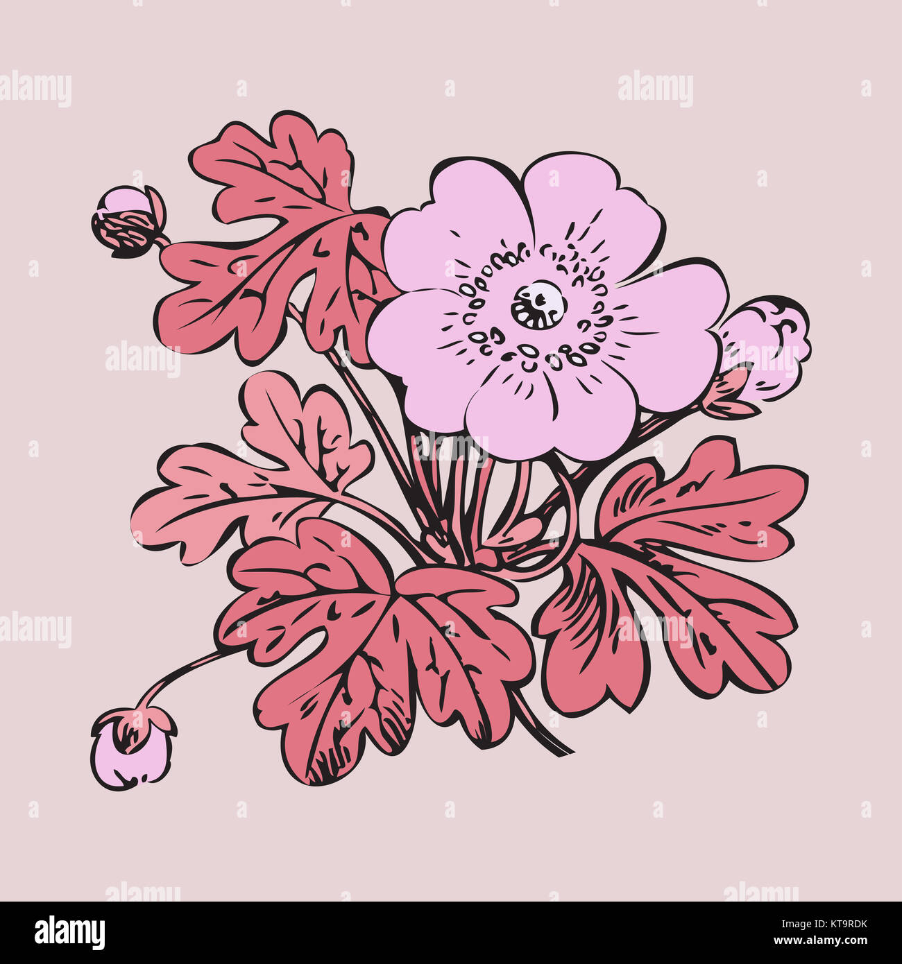 Vector round frame isolated with summer flowers in vintage style Stock ...