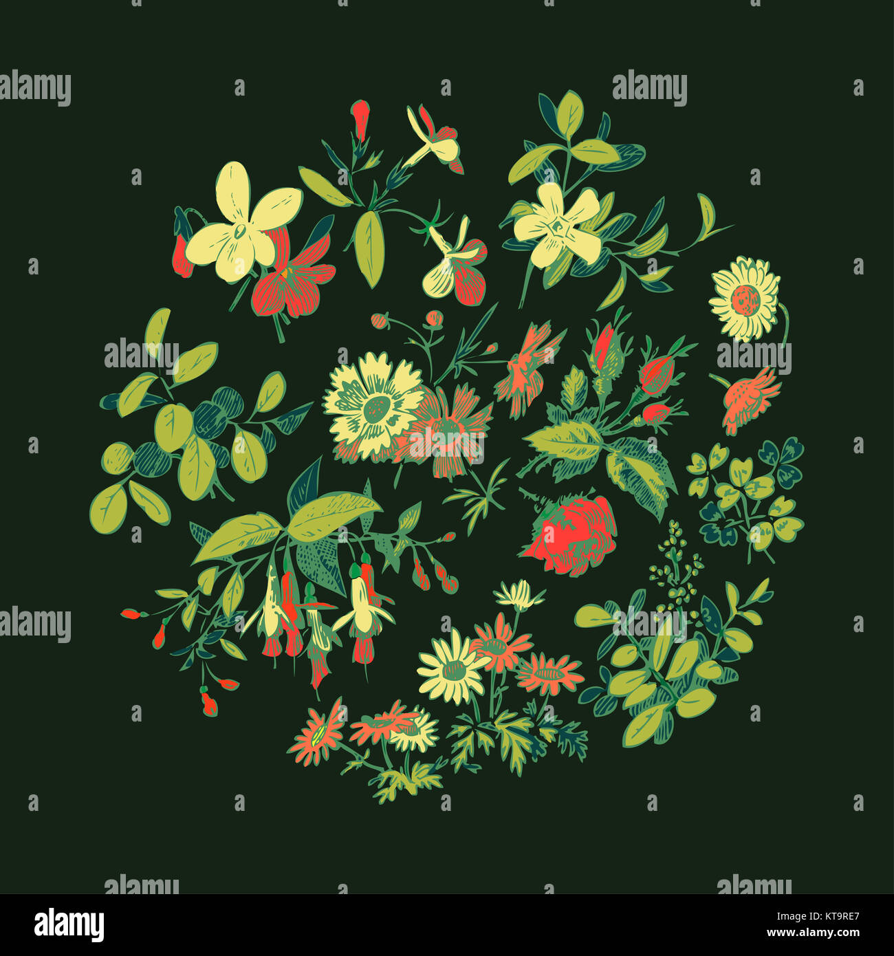 Vector round frame isolated with summer flowers in vintage style Stock ...