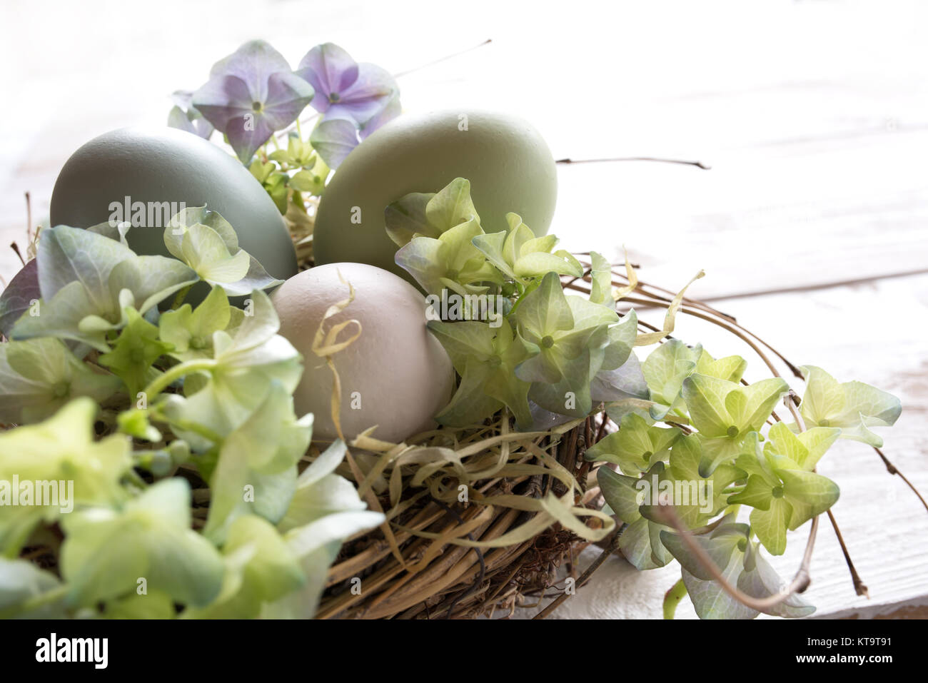 tender still life with easter eggs in a nest Stock Photo - Alamy