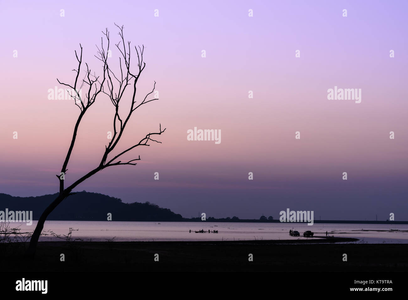 Beautiful silhouette dry tree and lake in twilight sky Stock Photo - Alamy