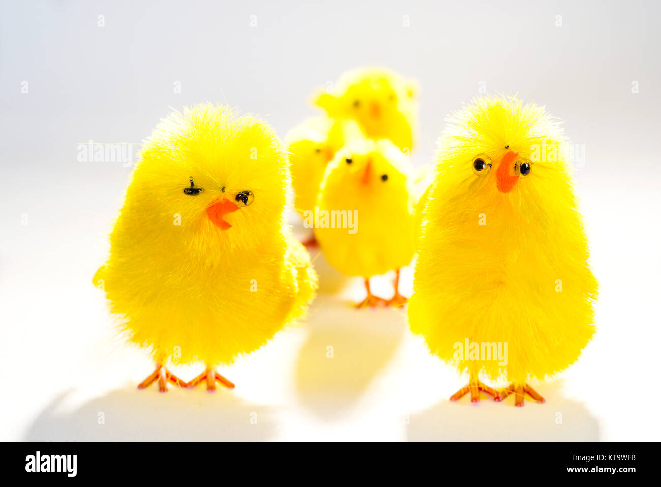 Osterküken in einer Reihe Stock Photo - Alamy